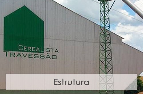 Estrutura